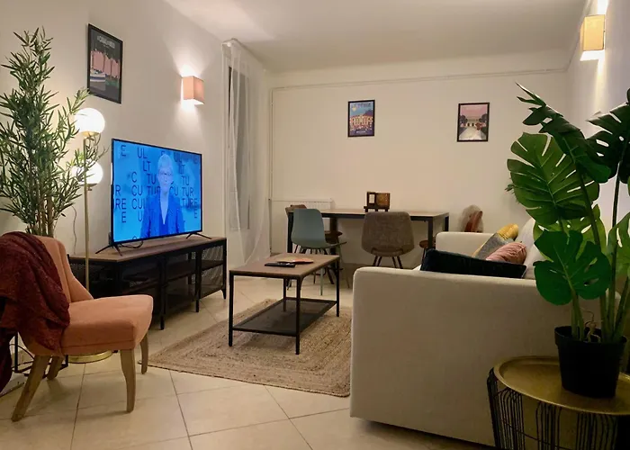 Διαμέρισμα Alicot Superbe T3 Climatisation Internet Wifi Terrasse Coeur Historique 70m2 *
